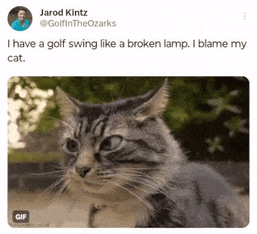 Golf Swing Jarod Kintz GIF