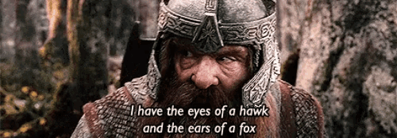 a bearded man wearing a helmet and armor says i have the eyes of a hawk