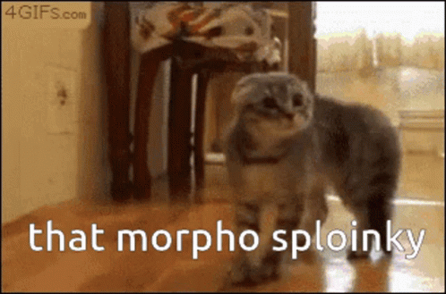 Morpho Flipside GIF - Morpho Flipside Caption GIFs