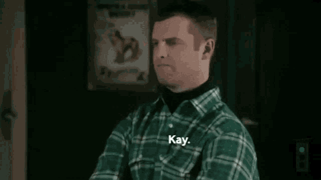 a man in a green plaid shirt is asking a question .
