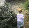 a little boy is standing on a path in the woods looking at something .