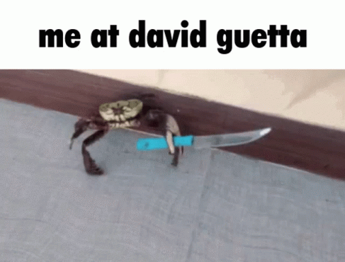 Glutencord Crab GIF - Glutencord Crab David Guetta GIFs