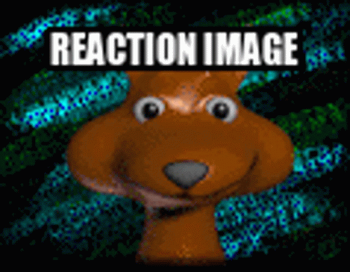 Reaction Image GIF - Reaction Image GIFs