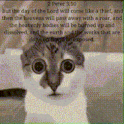 a cat is looking at the camera with a bible verse behind it