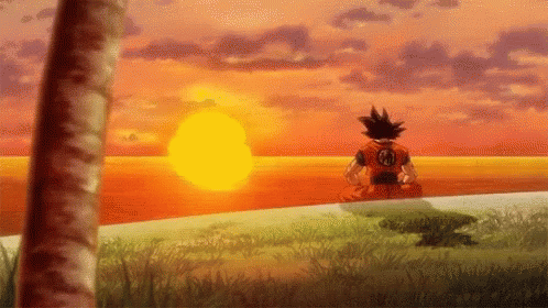Dragon Ball Z Goku GIF - Dragon Ball Z Goku Sun Set GIFs