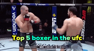 two men are fighting in a boxing ring with the words top 5 boxer in the ufc