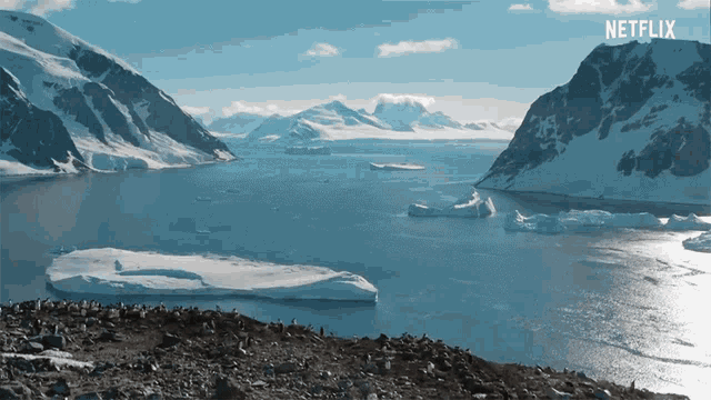 Penguins Antarctica GIF - Penguins Antarctica Landscape GIFs