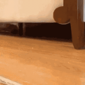 a close up of a wooden floor next to a couch .