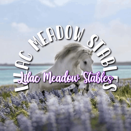 Meadow GIF - Meadow GIFs