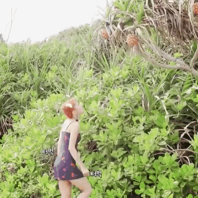a woman in a blue dress is standing next to a pineapple tree in a field .