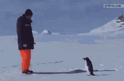 a man is standing in the snow next to a penguin flying in the air .