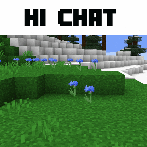 a screenshot of a video game with the words hi chat
