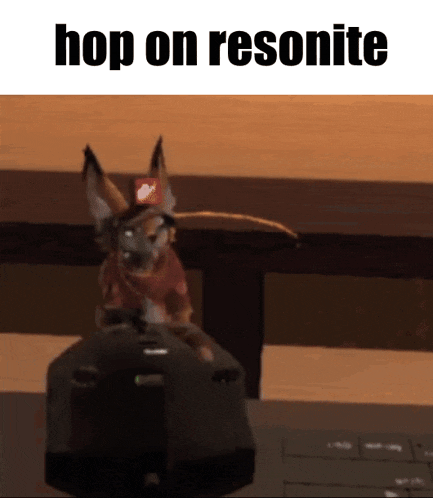a fox is sitting on a computer mouse with the words hop on resonite above it