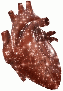 a close up of a human heart with sparkles on it .