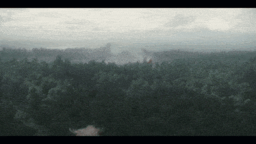 an aerial view of a forest with a castle in the distance .