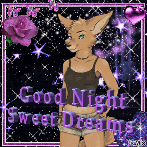 a picture of a furry girl with the words good night sweet dreams on it