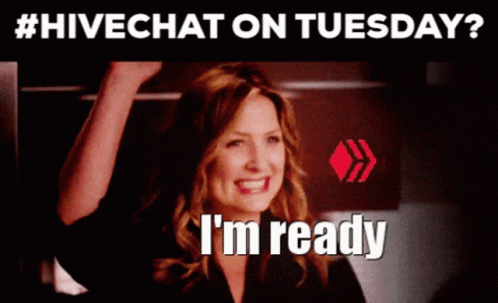 Hivechat Hivechat On Tuesday GIF - Hivechat Hive Hivechat On Tuesday GIFs