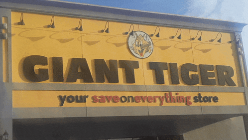 Giant Tiger Canadian Discount Store GIF - Giant Tiger Canadian Discount Store Canadian Stores GIFs