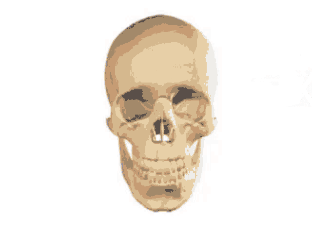 Poke Skull GIF - Poke Skull Prod GIFs