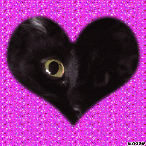 a black cat is in a heart shape on a purple background