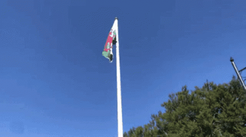 Wales Welsh GIF - Wales Welsh Flag GIFs