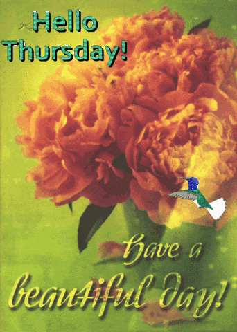 a card that says hello thursday and has flowers and a bird