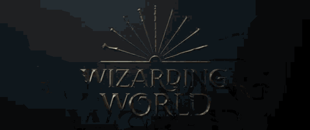 Wizarding World GIF - Wizarding World GIFs