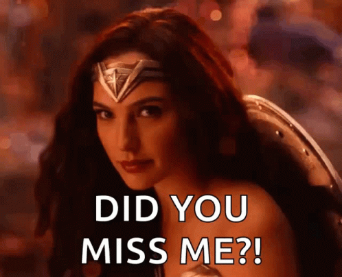 Did You Miss Me Gal Godot GIF - Did You Miss Me Gal Godot Wonder Woman GIFs