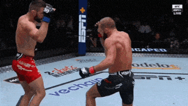 Rafael Fiziev Mateusz Gamrot GIF - Rafael Fiziev Mateusz Gamrot Ufc GIFs