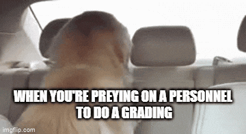 Doggo Smile GIF