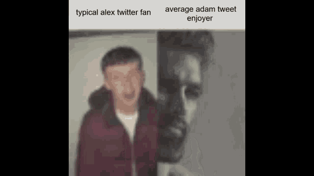 Adam Alex GIF - Adam Alex Average GIFs