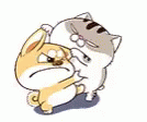 Ami Fat Cat Dog GIF - Ami Fat Cat Dog Tease GIFs