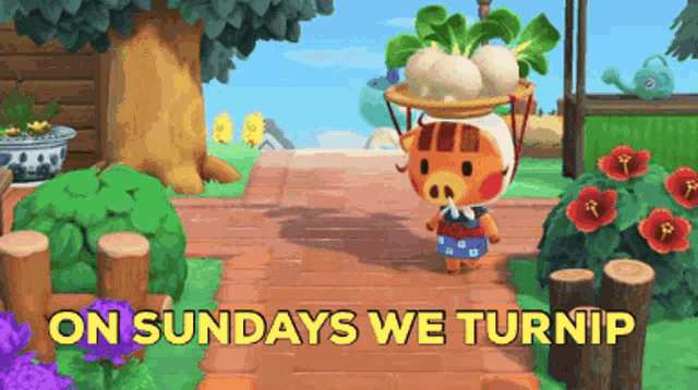 a cartoon of a pig carrying vegetables on his head with the words " on sundays we turnip " below it