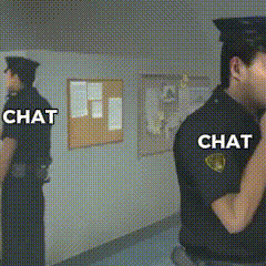 two police officers standing next to each other with the words chat on their shirts