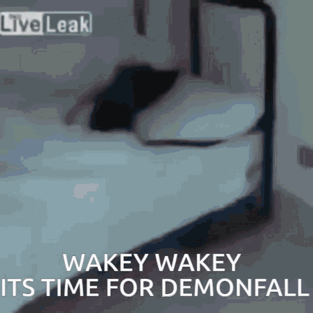 Wakey Monkey GIF - Wakey Monkey GIFs