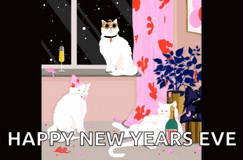 Cat Cat Lady GIF - Cat Cat Lady New Years Eve GIFs