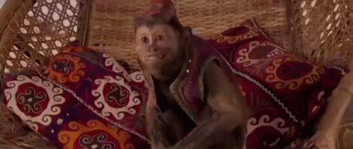 Aladdin Abu Monkey Reaction GIF - Aladdin Abu Monkey Reaction Abu Reaction GIFs