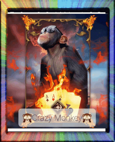 Crazy Monkey GIF - Crazy Monkey GIFs