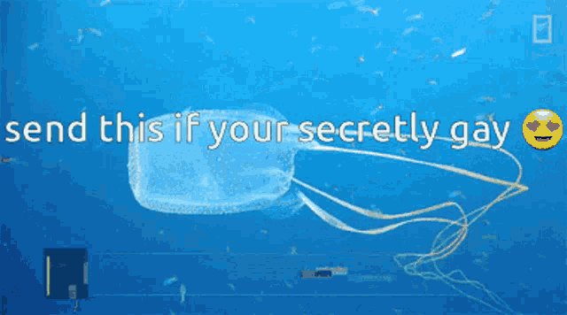 a picture of a jellyfish with the words " send this if your secretly gay "