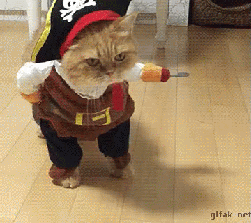 Creepin Pirate GIF - Pirate Cat Creeping GIFs