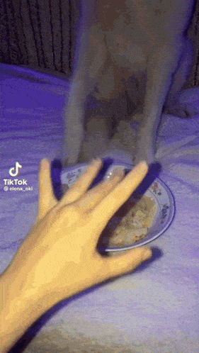 a person 's hand is reaching for a bowl of food next to a dog 's paw .