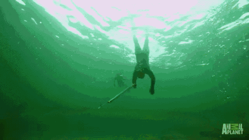 Free Dive Spearfishing Under Solid Ice GIF - Speardiving Cold Water GIFs