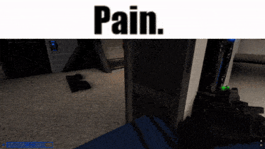 a screenshot of a video game that says pain on the top