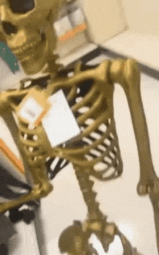 a gold skeleton with a tag on it that says ' skeleton ' on it