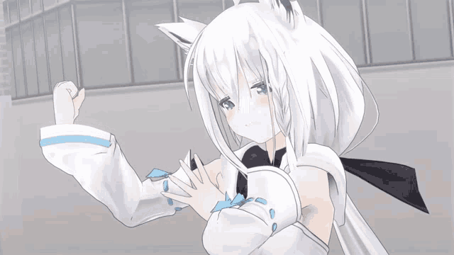 a girl with white hair and a cat ear