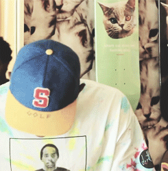 Promoting New Followers, Gain 250+ Http://Www.You-game.Tumblr.Com GIF - Tyler The Creator Peace Peace Sign GIFs