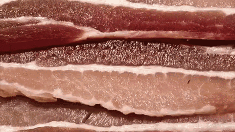 Baconnnn GIF - Bacon Making Food GIFs