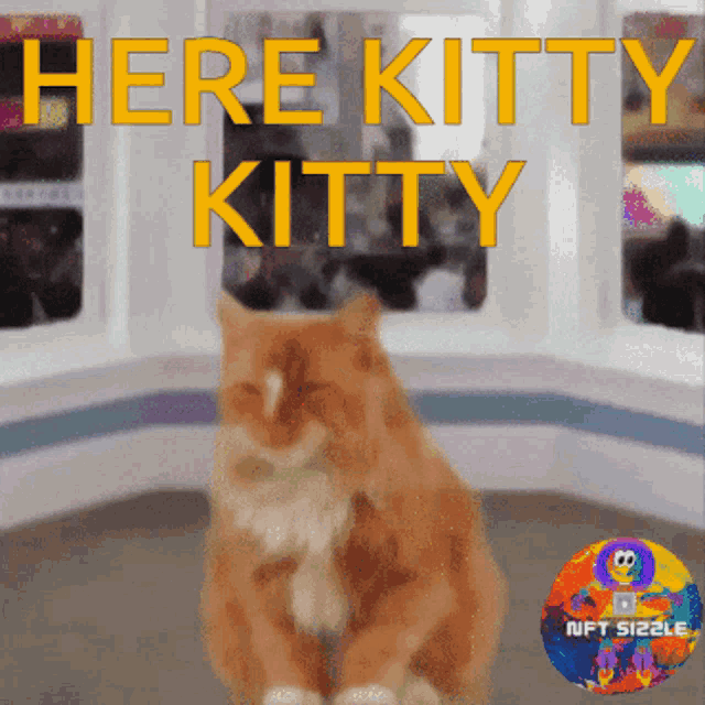 Here Kitty Kitty GIF - Here Kitty Kitty Come Kitty GIFs