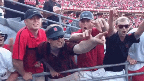 a group of people are standing in a stadium with their arms in the air .