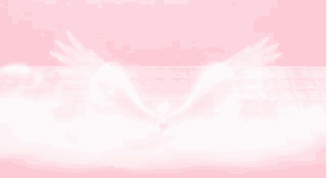 a pink background with white wings spread out